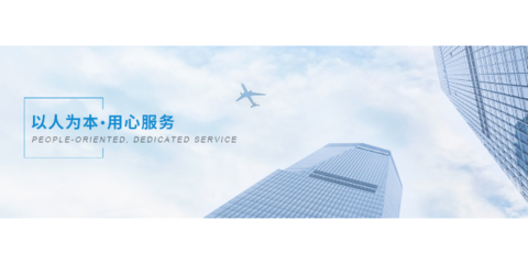 技术咨询