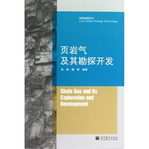 页岩气及其勘探开发/低碳能源技术 肖钢,唐颖编著 著作 石油 天然气工