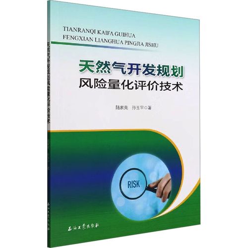 天然气开发规划风险量化评价技术 陆家亮,孙玉平 著 工业技术其它专业