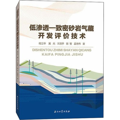 低渗透-致密砂岩气藏开发评价技术 程立华 等 著 地球物理学专业科技