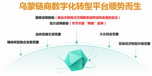乌蒙链商以数字化技术为核心 打造线上线下数字化综合服务应用平台