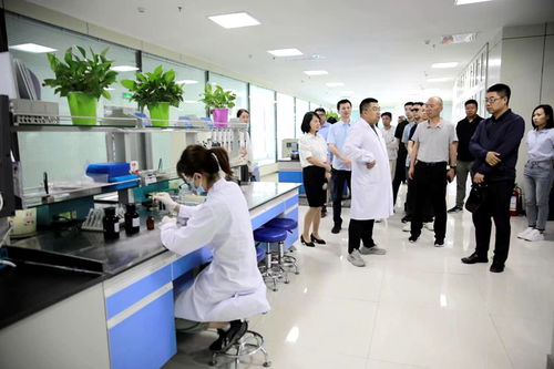 临泽县人民政府 知国情 话自信 海归系列恳谈会成员在临泽县考察