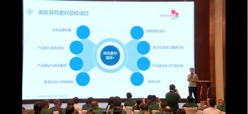 全国荔枝主产区种植面积达810万亩 如何实现荔枝产业兴旺