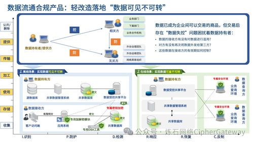 喜报 炼石入选中国信通院数据安全产业技术产品服务全景图——技术服务