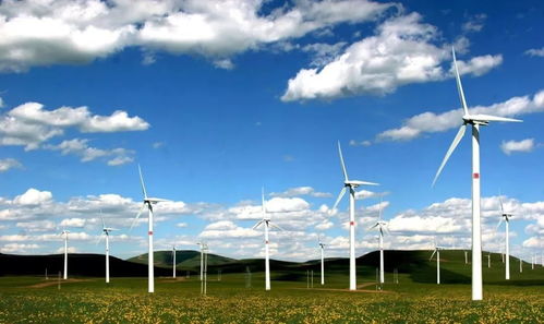 日本留学薪资最高的8大专业汇总 前景无限的技术服务领域