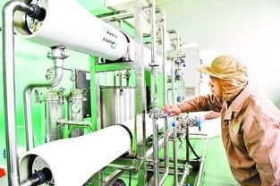 科技驱动循环经济 香港金绿源生物科技的创新之路