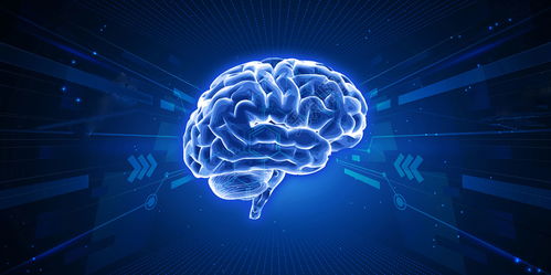 区块链技术 从开发到应用的完整解决方案与技术服务